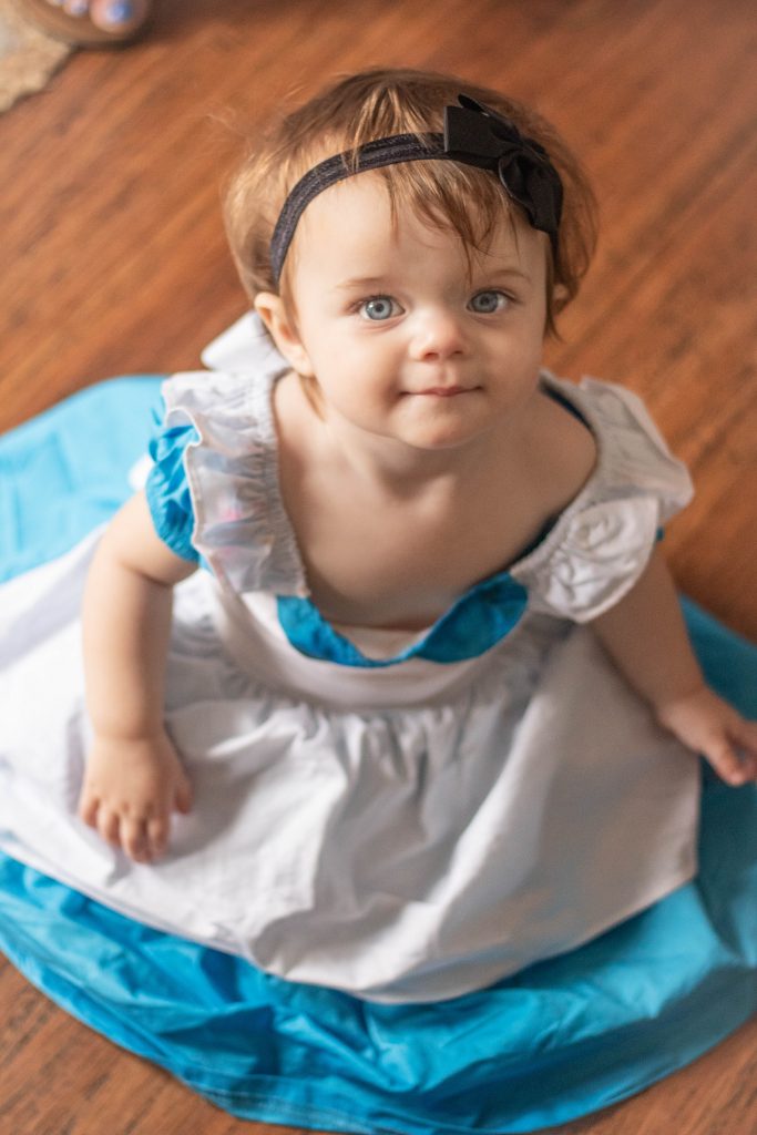  1 year old Onederland Birthday Party
