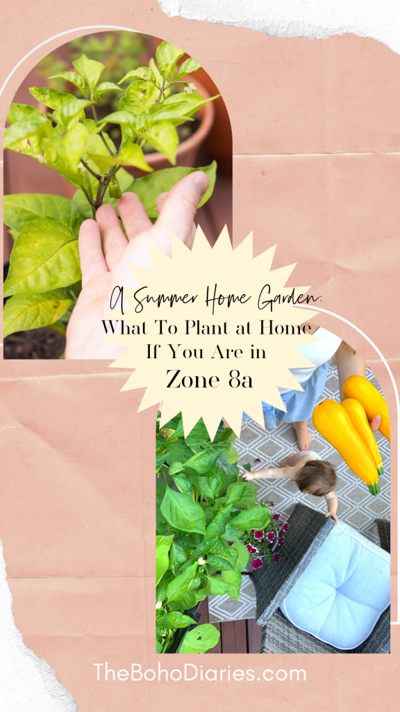 Summer Garden At Home What I planted