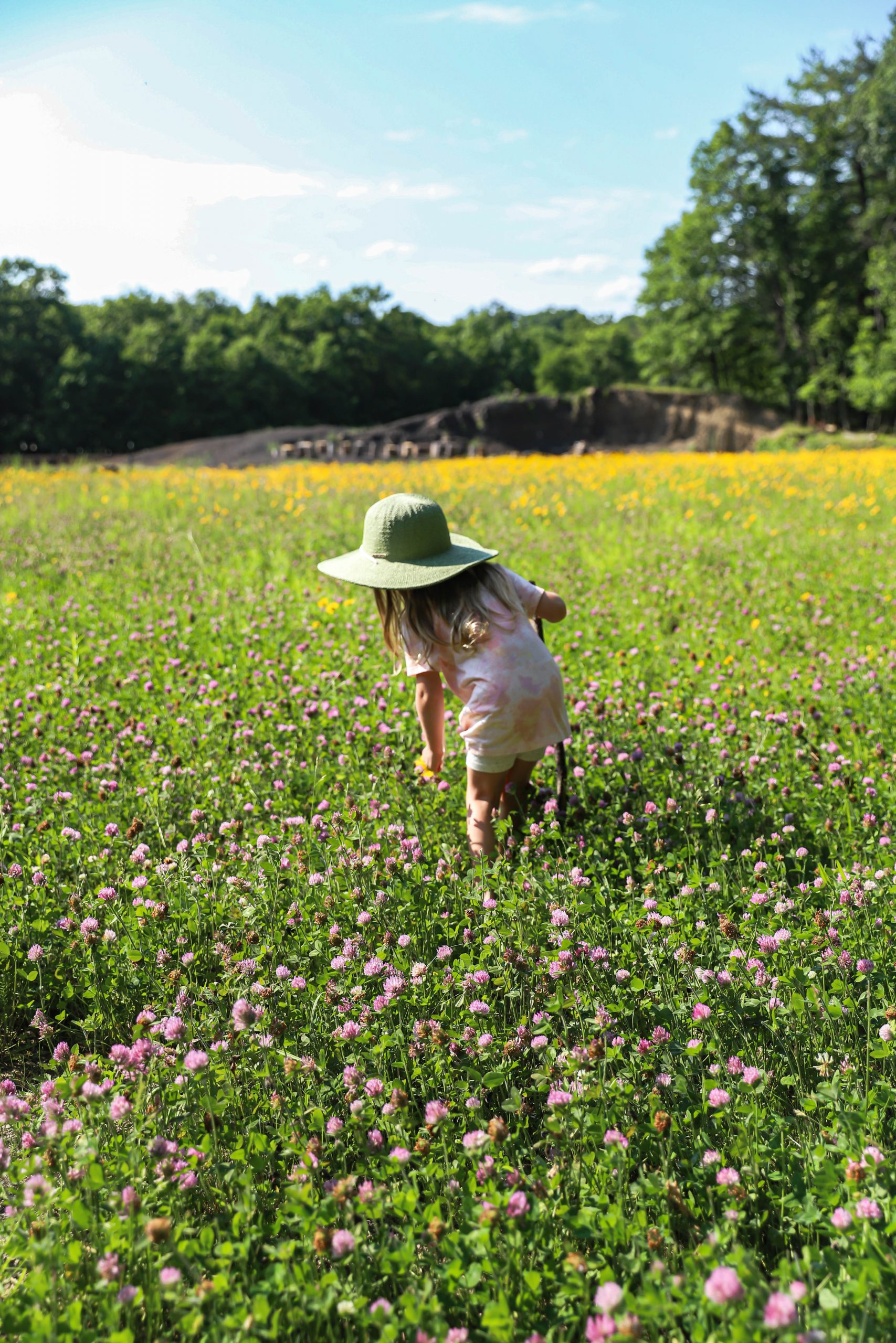 Nicki Odom's daughter picking flowers in wild flower field