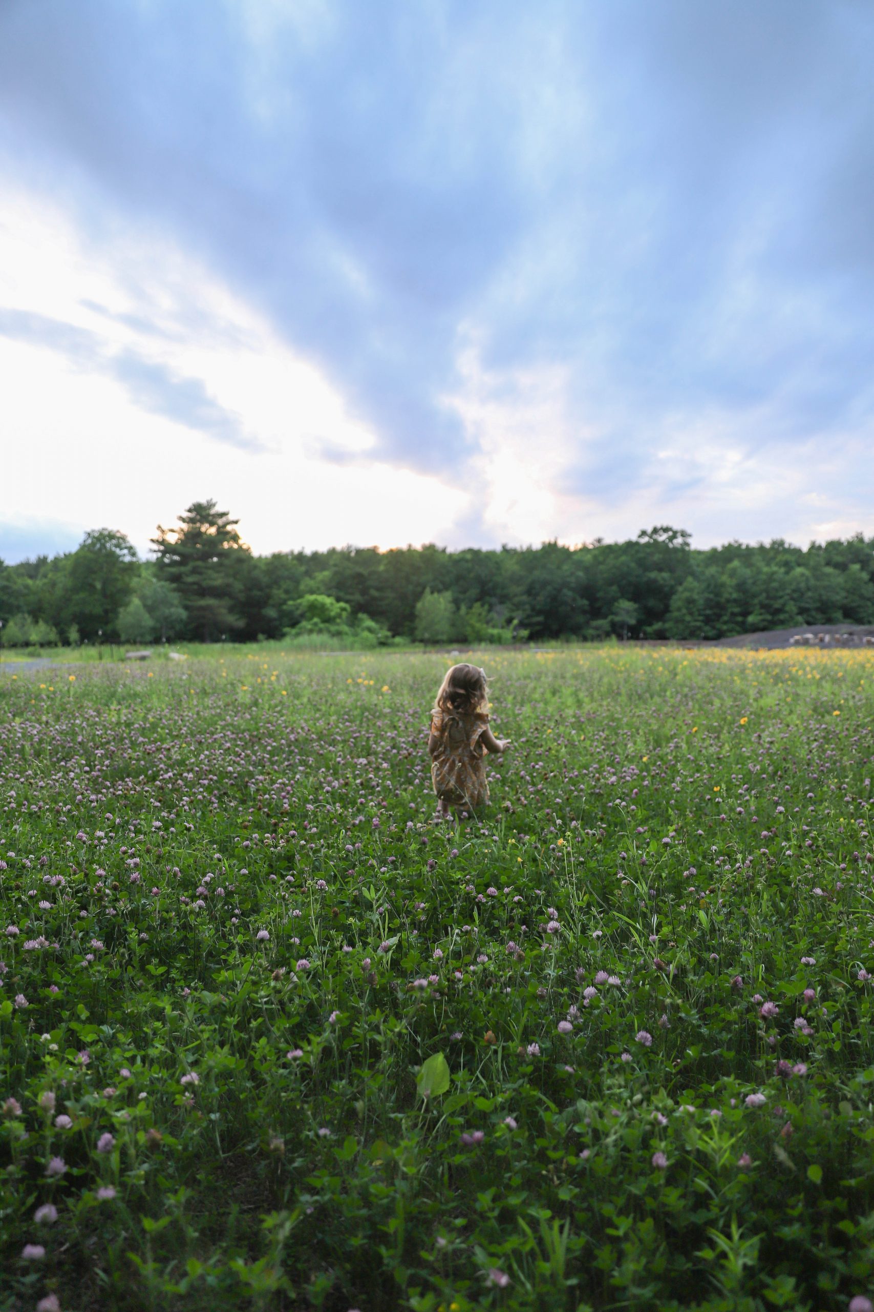 Nicki Odom's daughter picking flowers in wild flower field