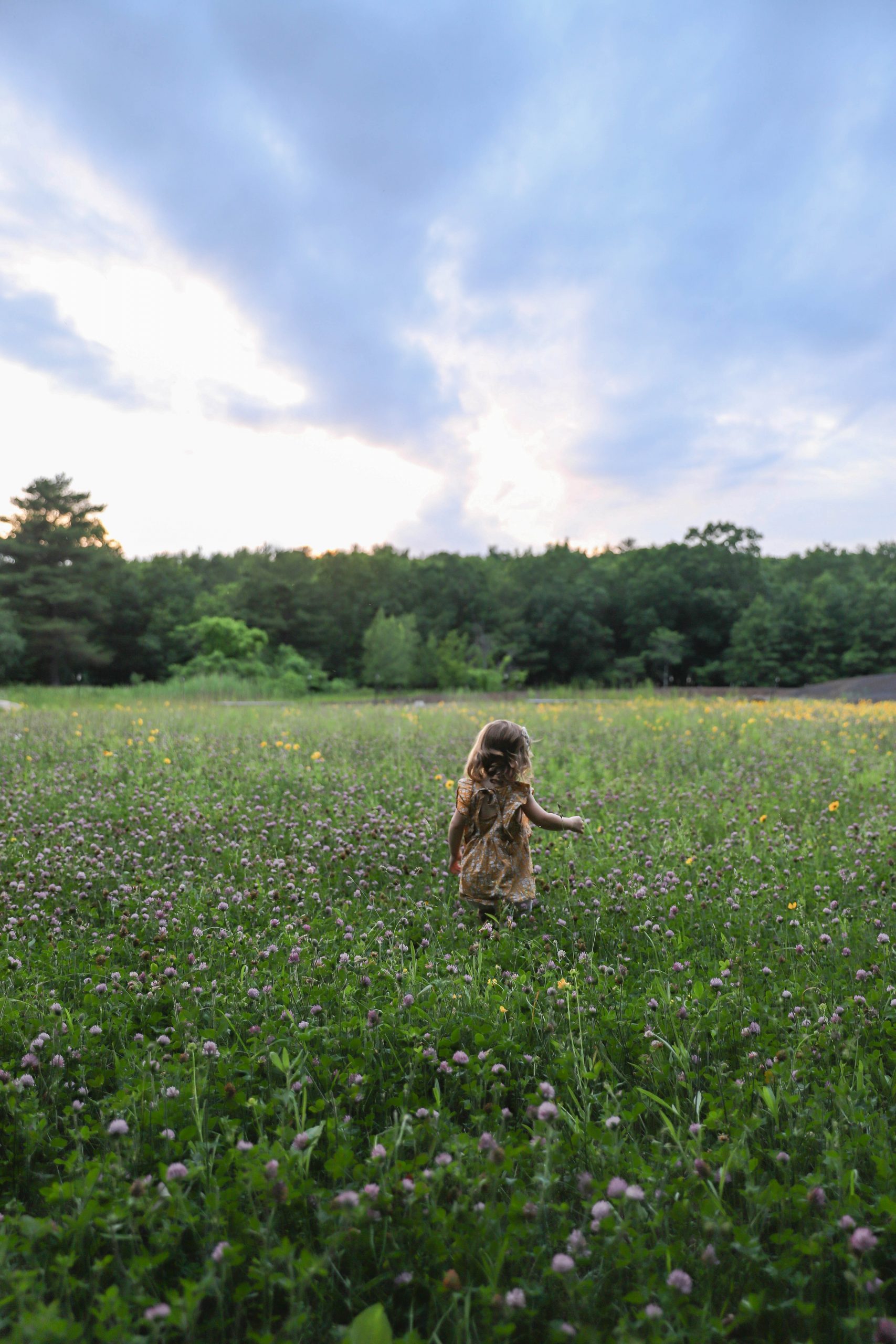 Nicki Odom's daughter picking flowers in wild flower field