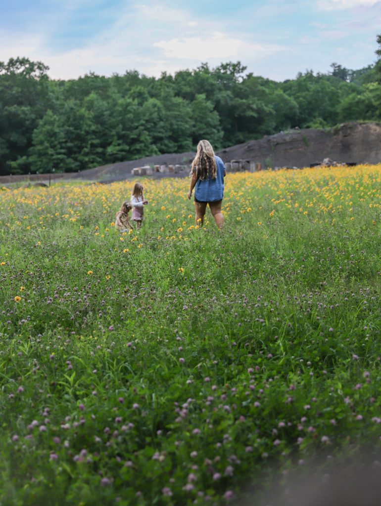 Nicki Odom's daughter picking flowers in wild flower field