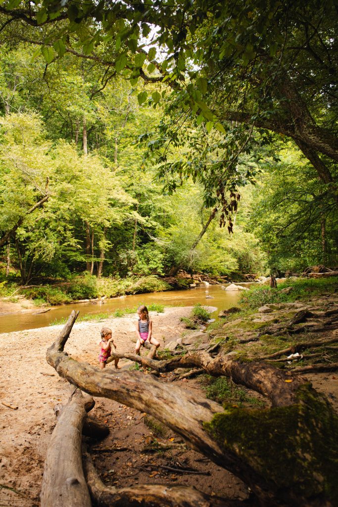 Nicki Odom's daughters in Carter Fall in Elkin NC