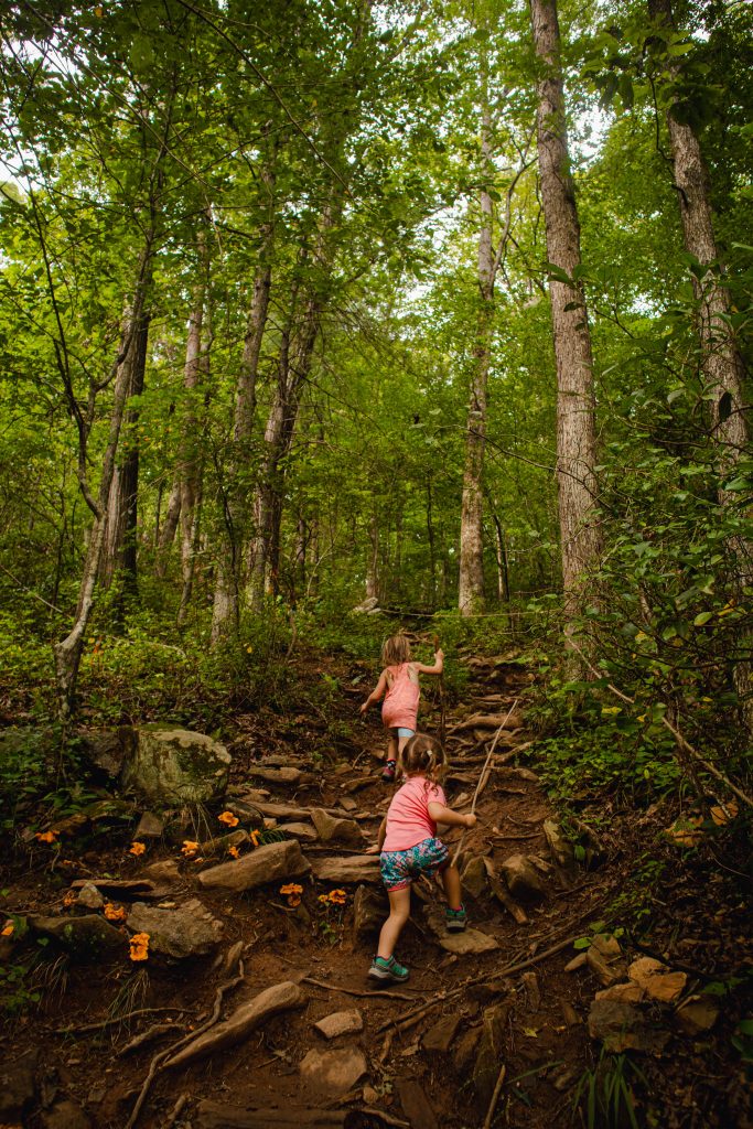 Nicki Odom's daughters in Carter Fall in Elkin NC