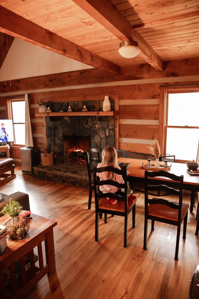 Living Room At Mountain Getaway at 36 North Cabins in Purlear NC