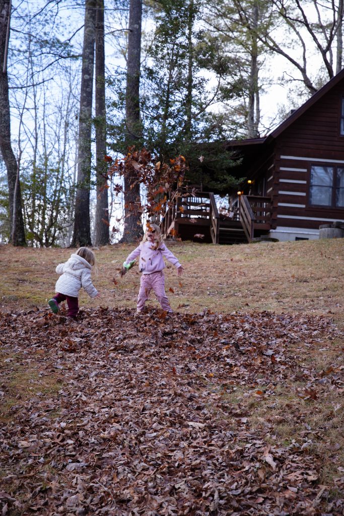 A Mountain Getaway at 36 North Cabins in Purlear NC