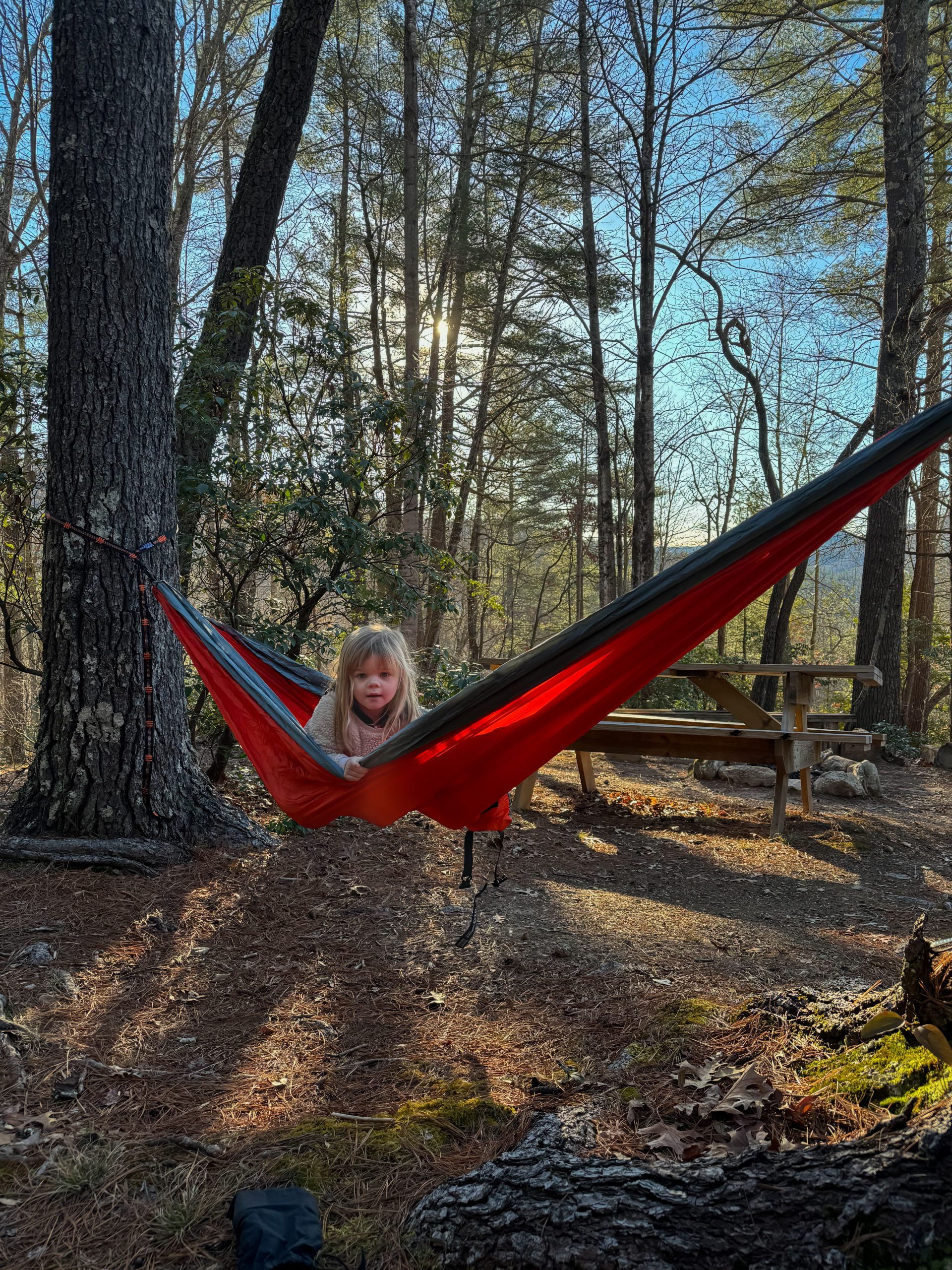 Mountain vacation in Purlear NC 