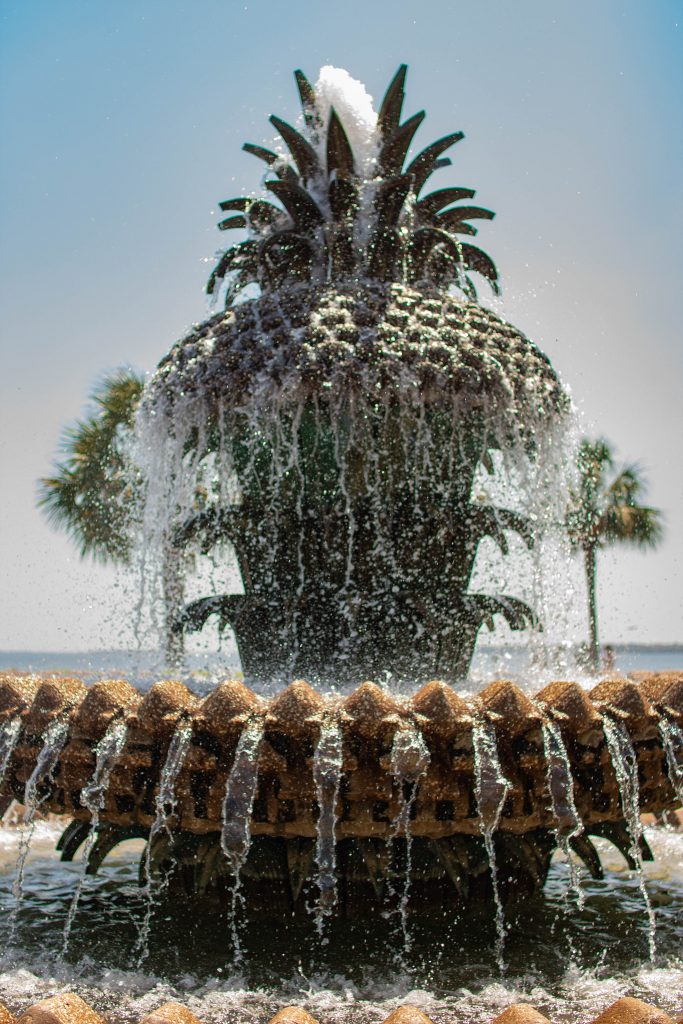 Nicki Odom Charleston South Carolina Pineapple Fountain