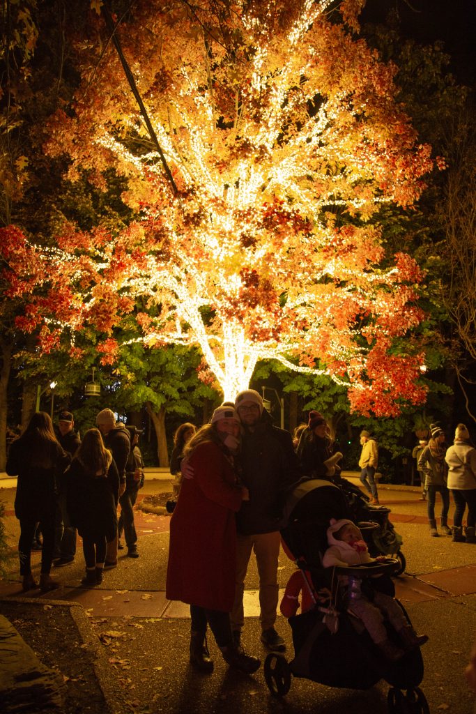 Christmastown in Busch Gardens Williamsburg VA