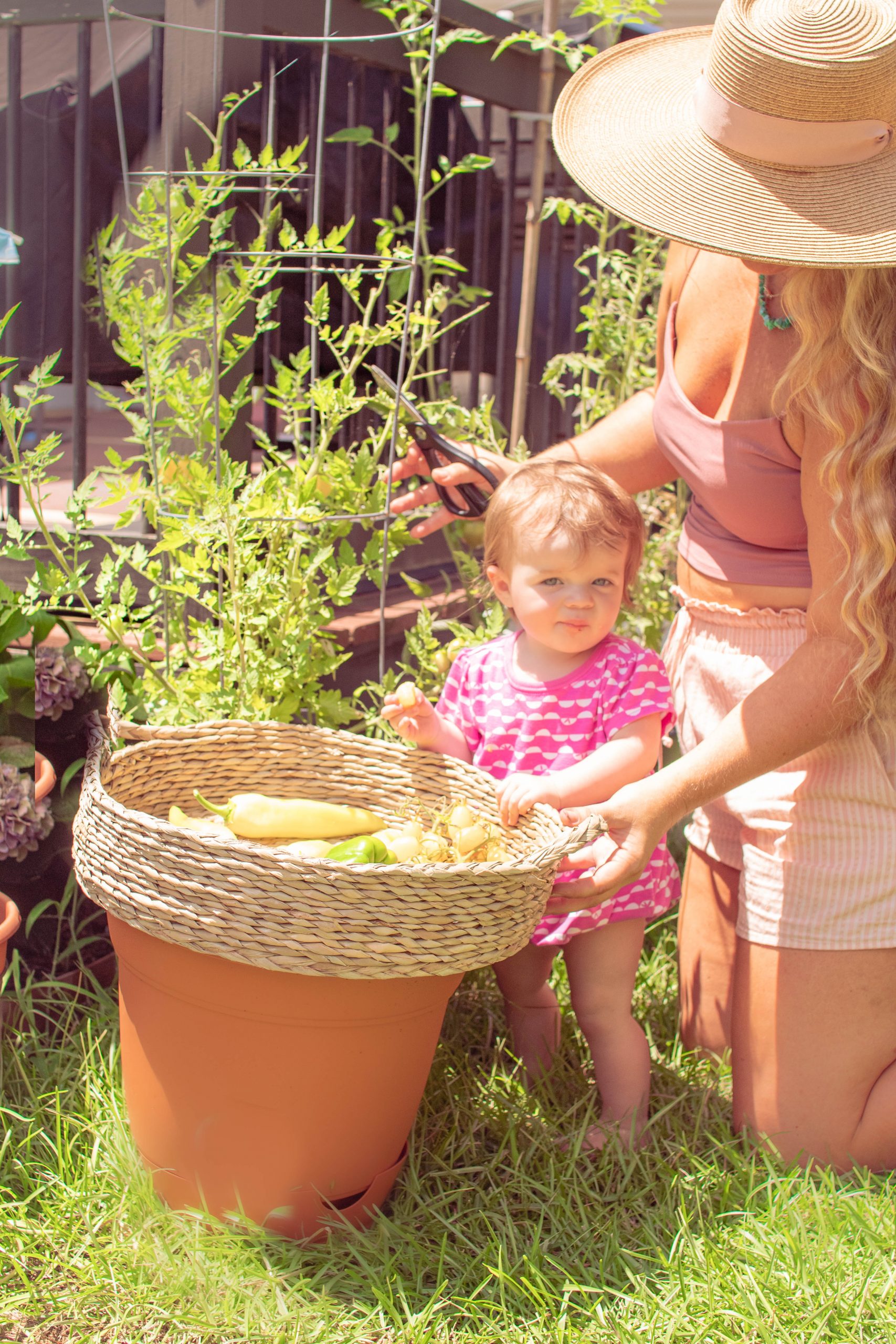 Home Vegetable Garden