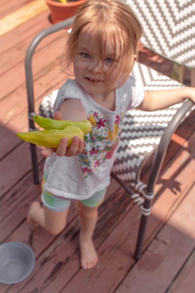 Little Gardner with green peppers