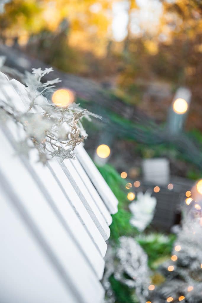 Kids DIY Christmas Tree Farm