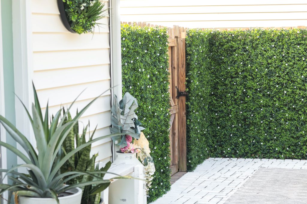 Boxwood Greenery privacy wall on outdoor patio 