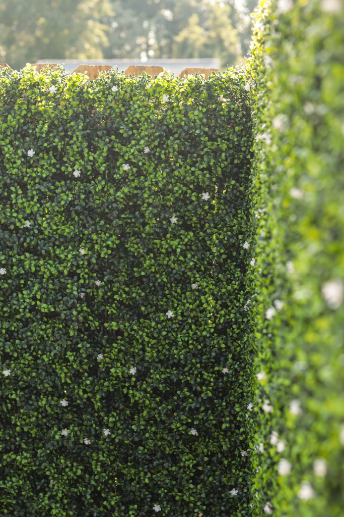 Designer Plants USA artificial flowering boxwood privacy fence