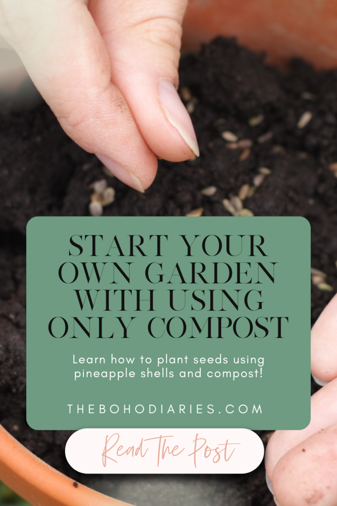 How To plant seeds using only compost blog post