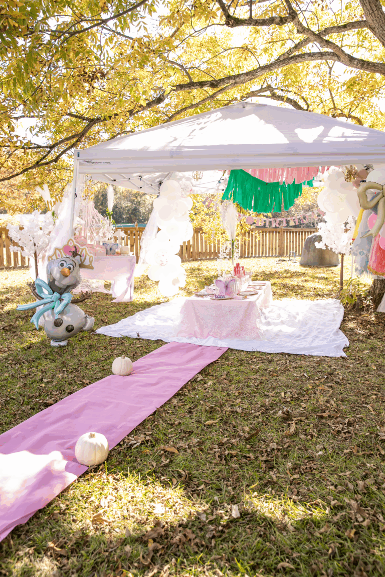 Boho Fall Disney Princess Birthday Party