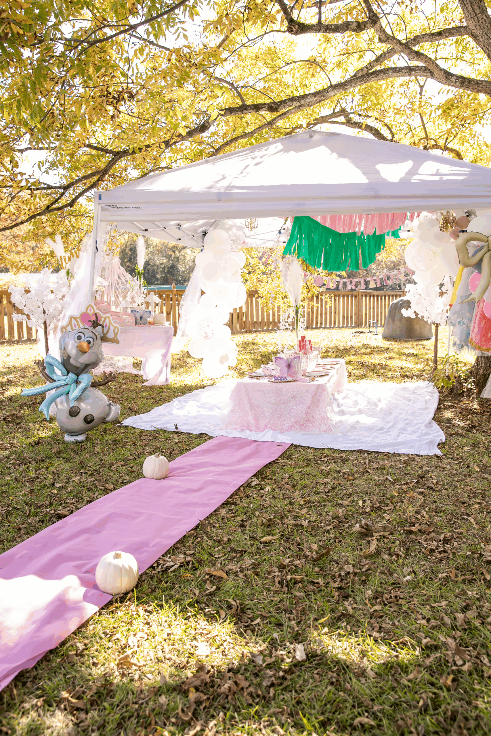 Boho Fall Disney Princess Birthday Party